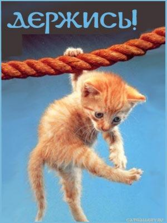 ������� ���� �������� �������, �������� �������