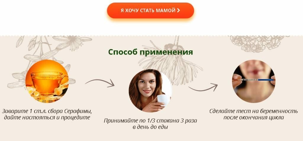 сбор серафимы фото