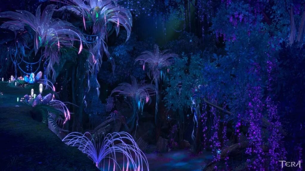 Красивые фото ночью природы из аватара