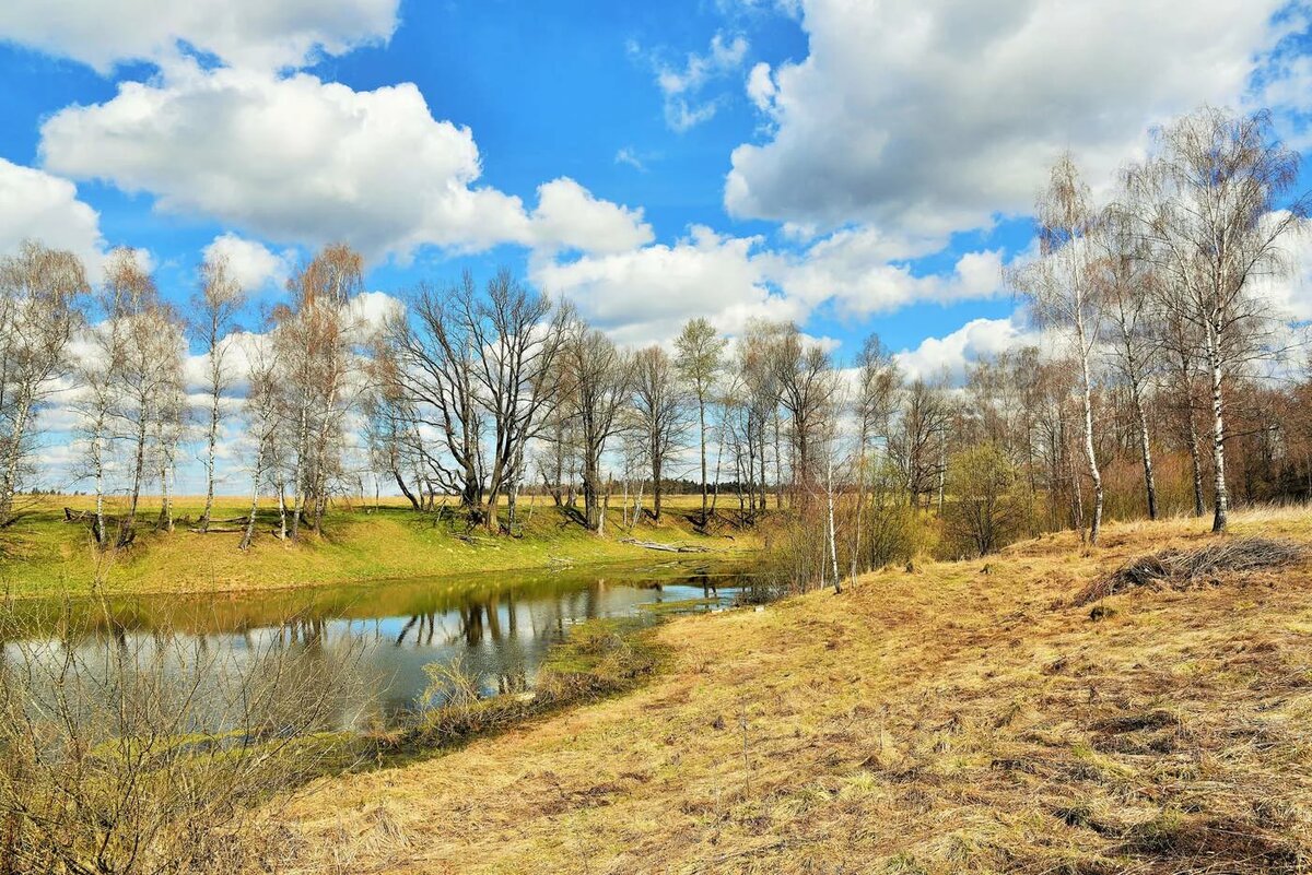 ��������, ���������� �������� ����� ������ ������� �������������� �������