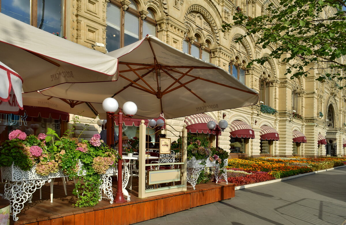 летнее кафе фото