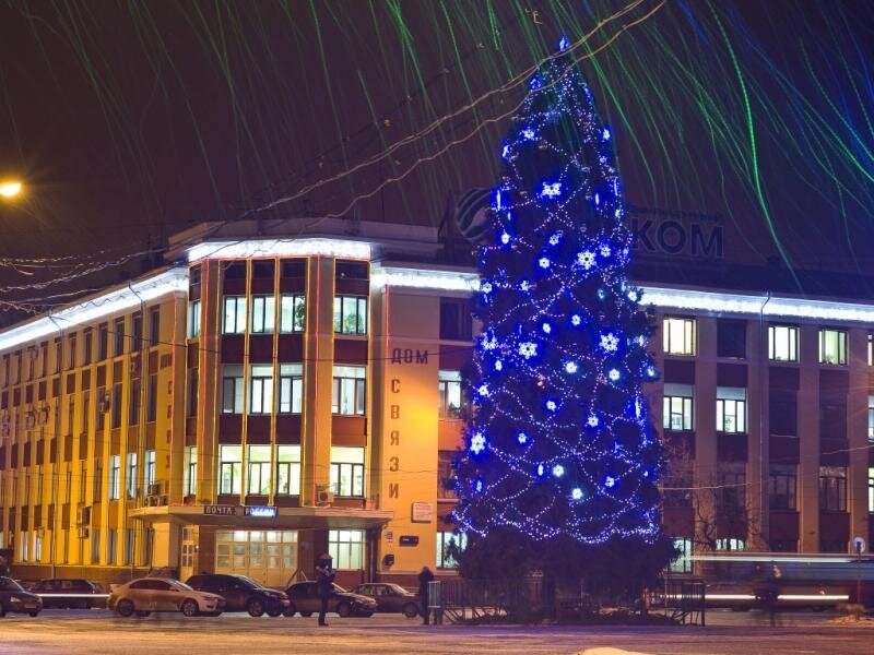 новогодняя ель фото