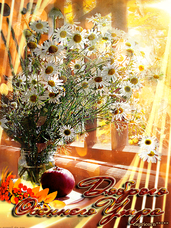 �������� �������� �������� ������ ����