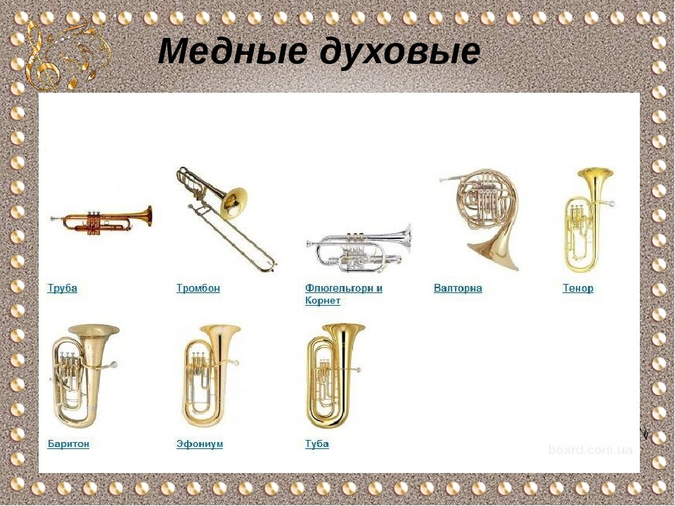 Духовые инструменты с названиями для детей картинки