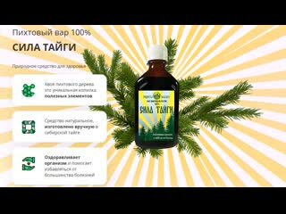 пихтовый вар сила тайги фото