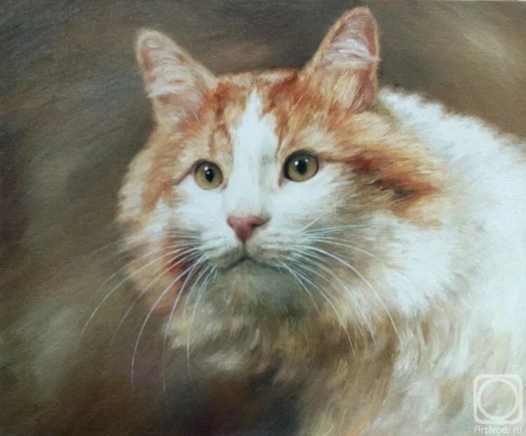 кот картина фото