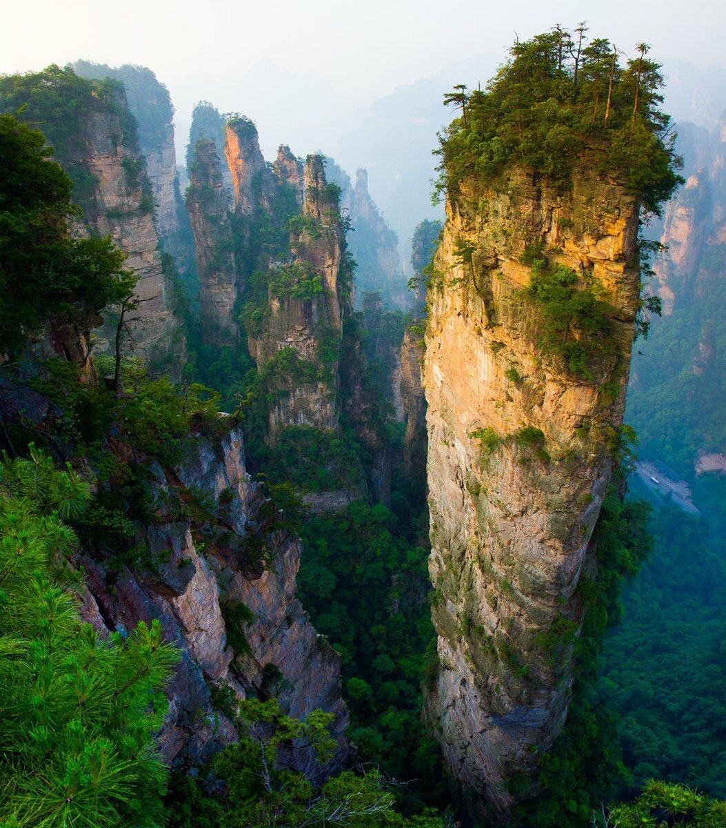национальный лесной парк чжанцзяцзе китай фото