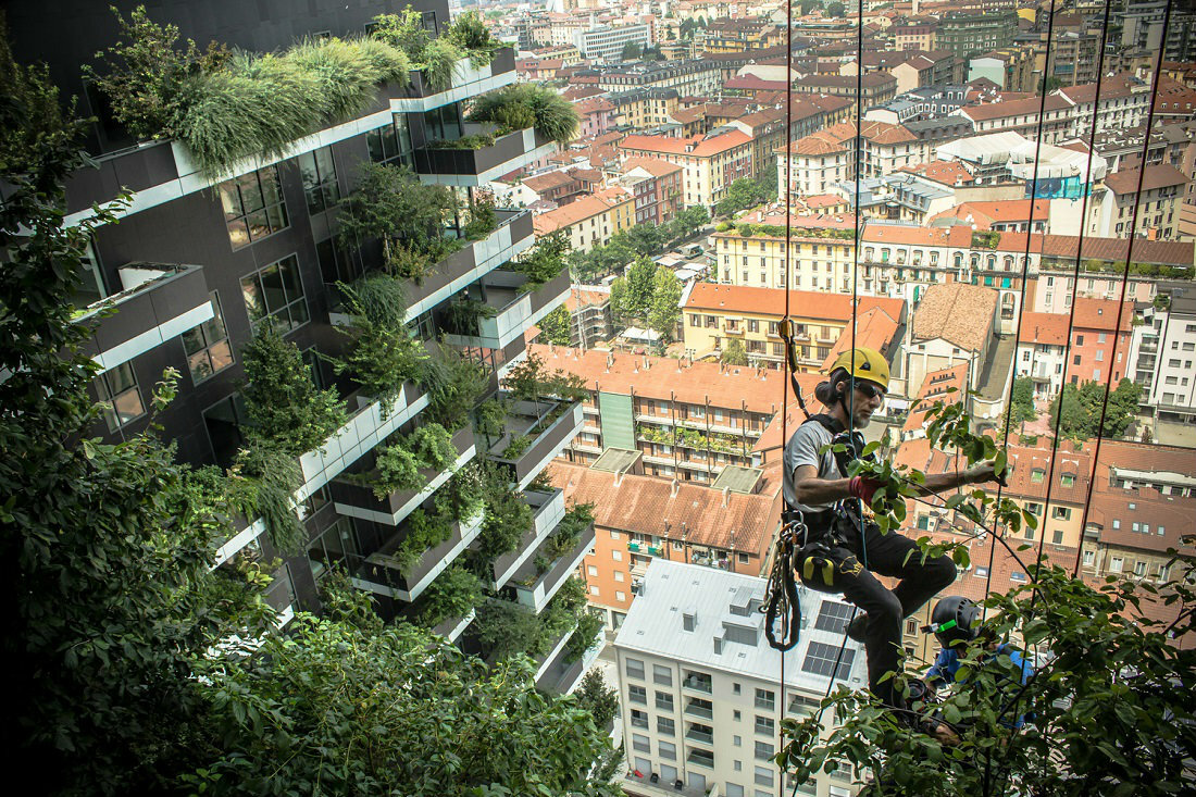 bosco verticale милан италия фото