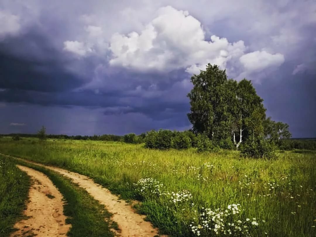 лето перед грозой фото