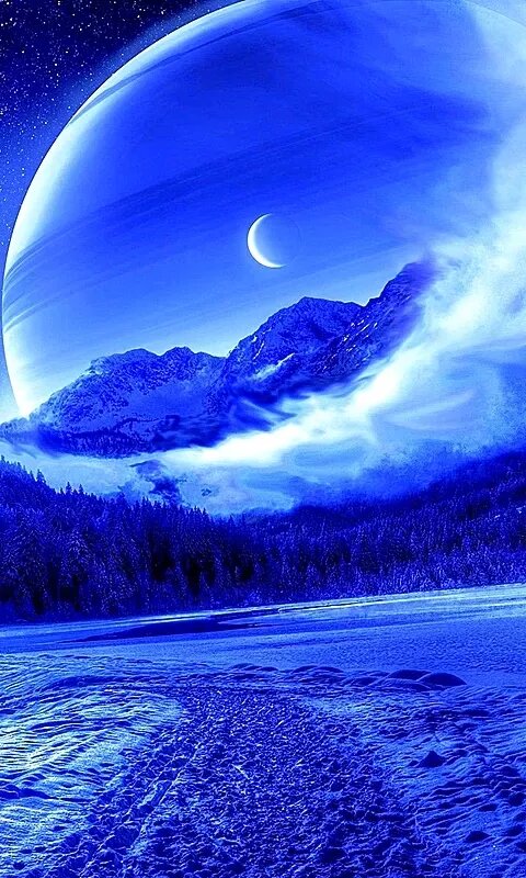 736×1226 фото