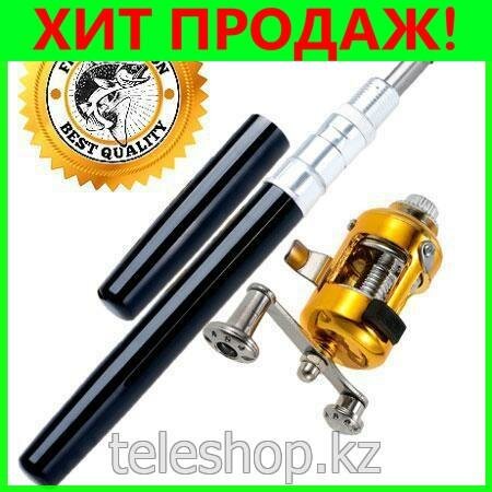 мини удочка ручка fish-pen фото