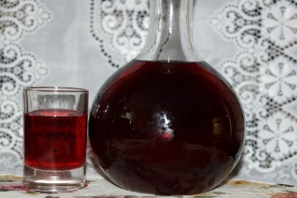 вишневая наливка фото