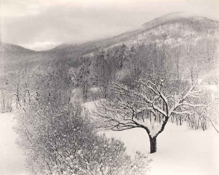 стиглиц альфред фотоработы фото