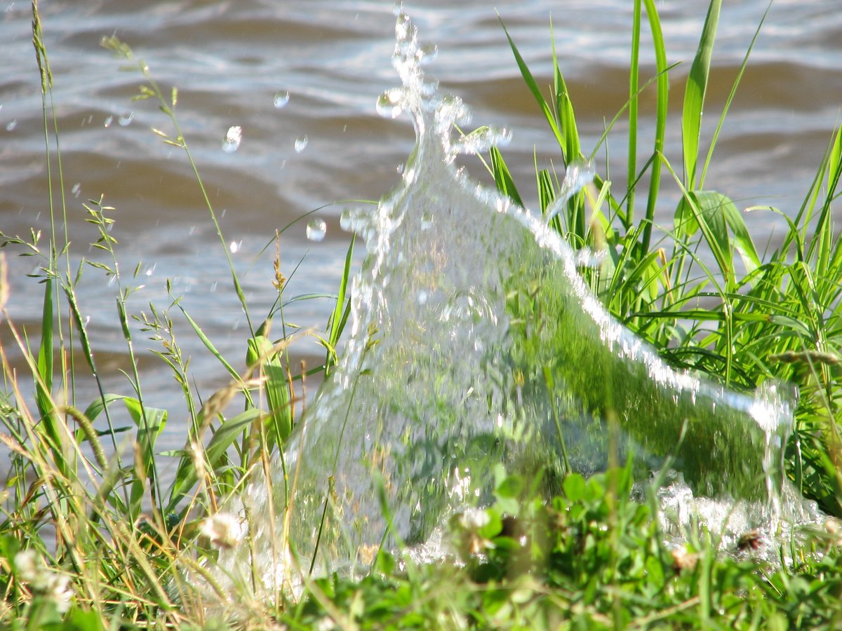 Лето вода картинки вода