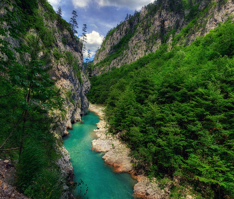 каньон реки тары черногория фото