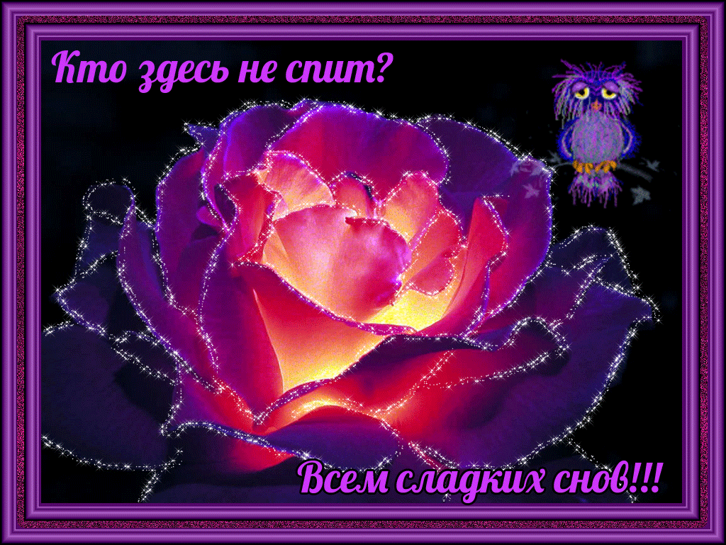 �������, ����� �������� ������������ �������� ��������� ����