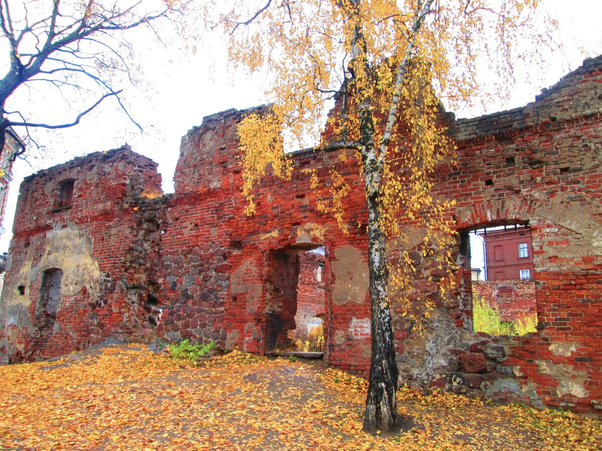 руины замка бальга фото