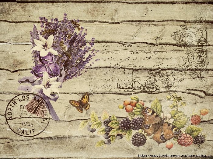 ������� �������� ��������