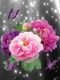 �������� ����� �����, ��������� ��������� ���������