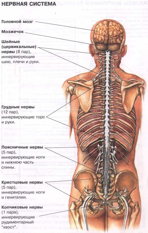 �������� ������, ������ �������� ������������ � ��������� � ��������� ���� ������� �� �����