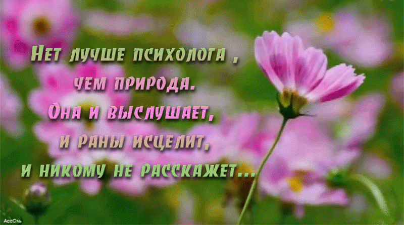 Нет лучшего психолога, чем природа