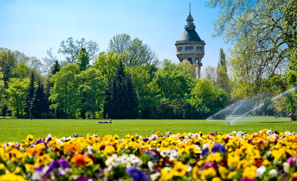 остров майнау германия фото