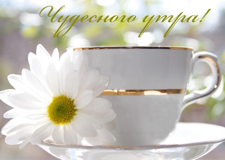 ���� � ��������� ��������� ������ ����