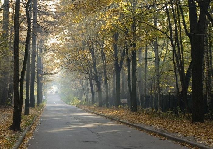 парк фото