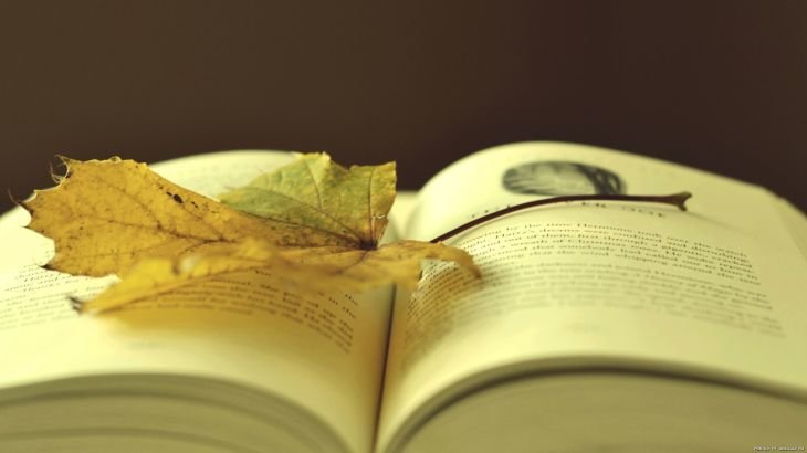 Листок и книга