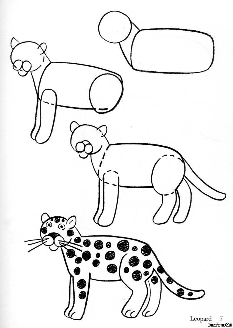 �������� ��� �������� �������� ��������, �������� ���� �������