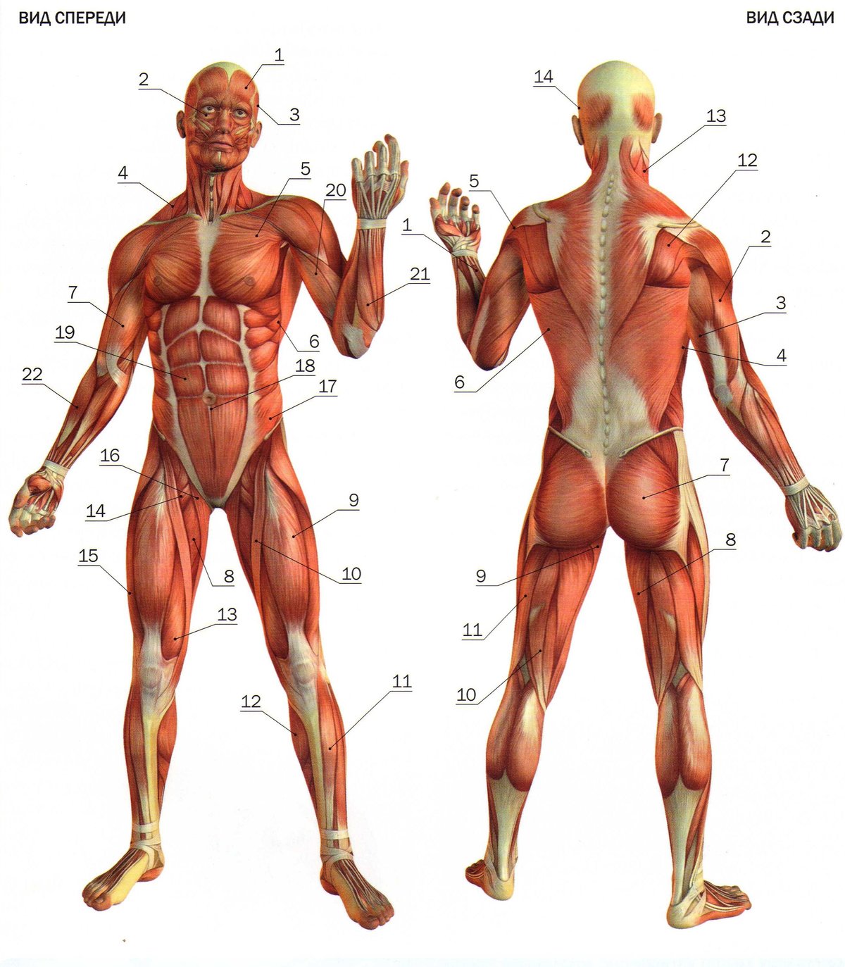 ���������� ������� ���������� �������� �������� � ��������� ����� ������