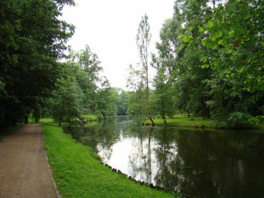 парк аркадия польша фото