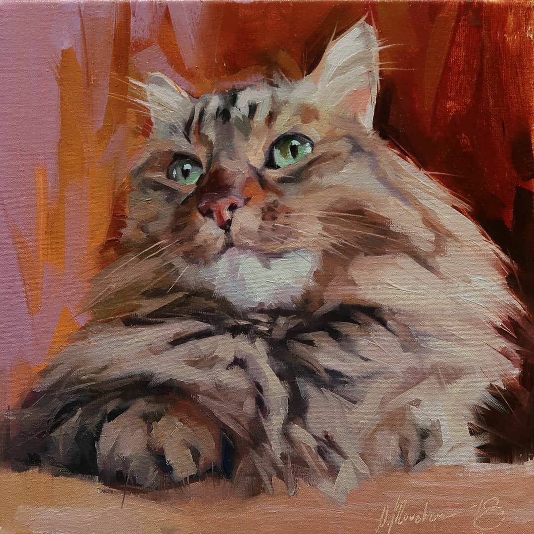 котик гуашью фото