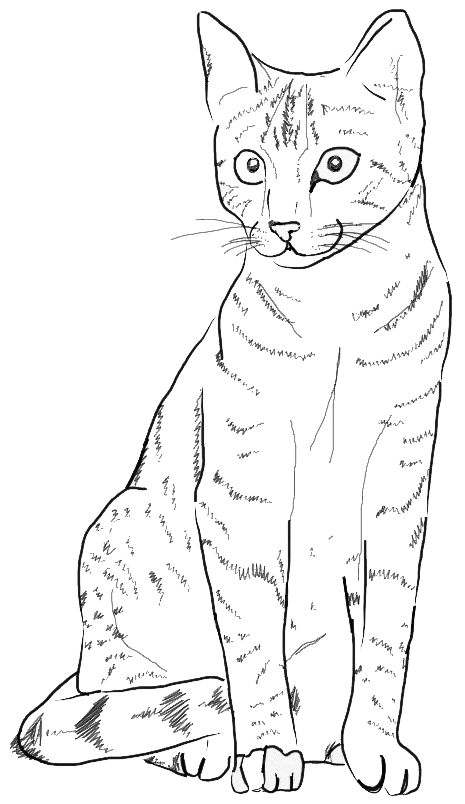 Рисовать сидящего кота