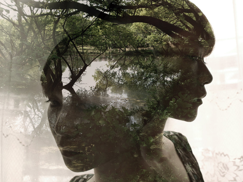 ��������� ���� �� �������� ������, ���������