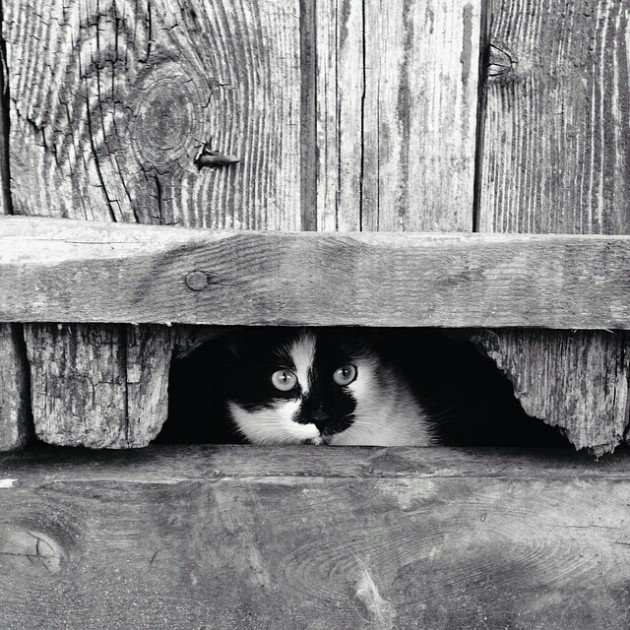 vperdolili-v-shelku-nayti-russkoe-porno-video-s-russkoy-devushkoy