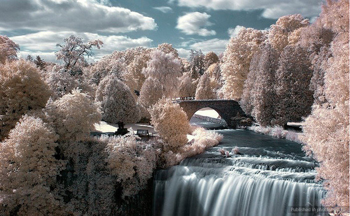 инфракрасная фотография фото