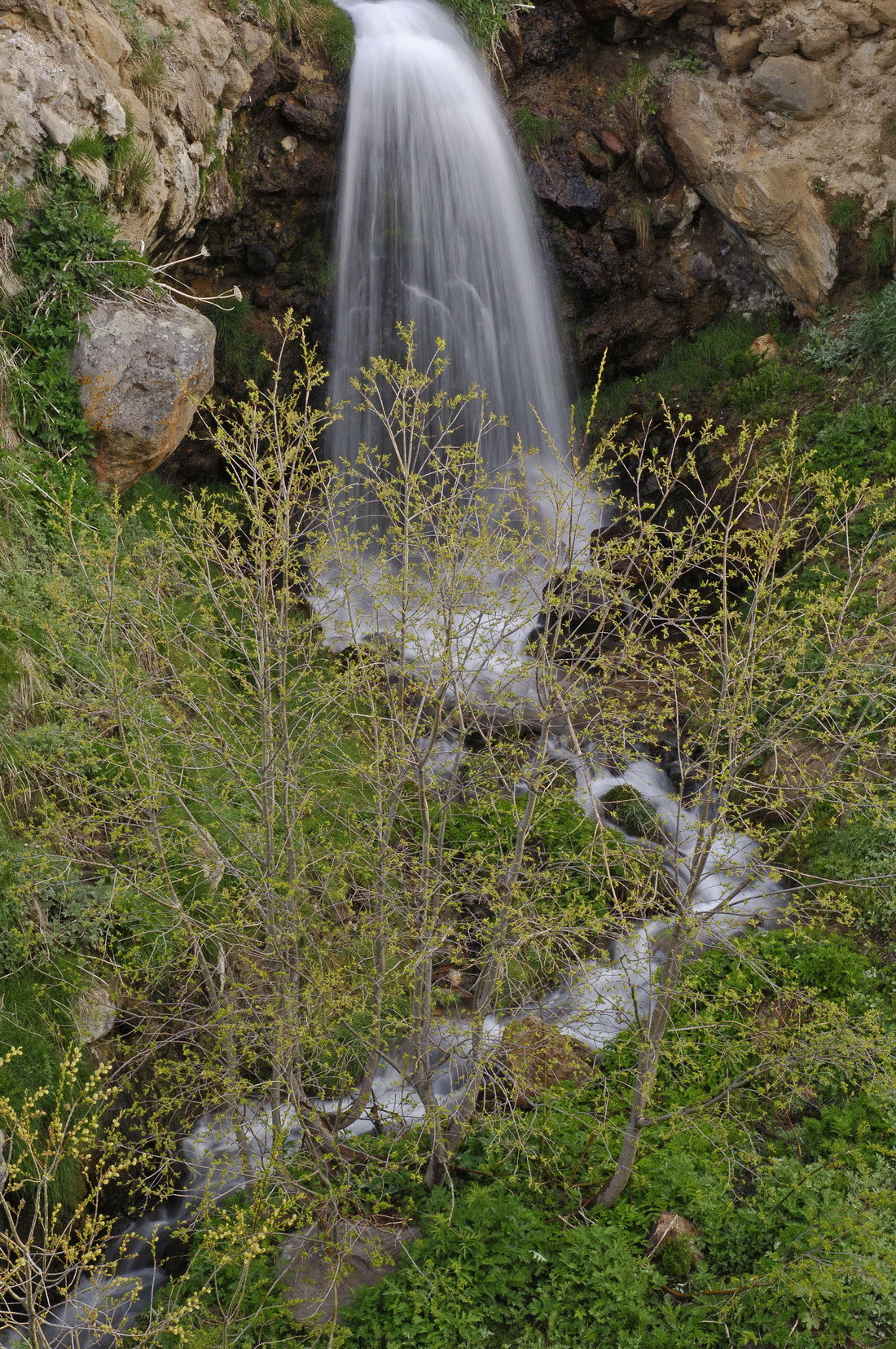 ÐÐ¾ÑÐ½ÑÐ¹ ÑÑÑÐµÐµÐº