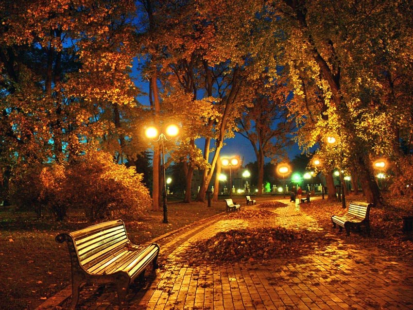 осенняя ночь фото