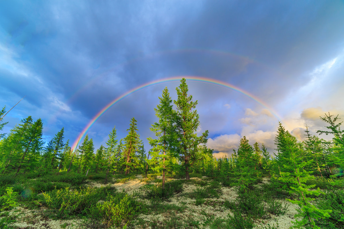 Тундра летом.: vladimirkrym — LiveJournal