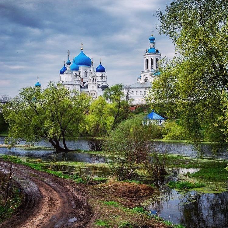 боголюбово монастырь фото