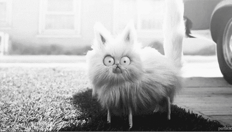 Картинки по запросу гифки анимашки