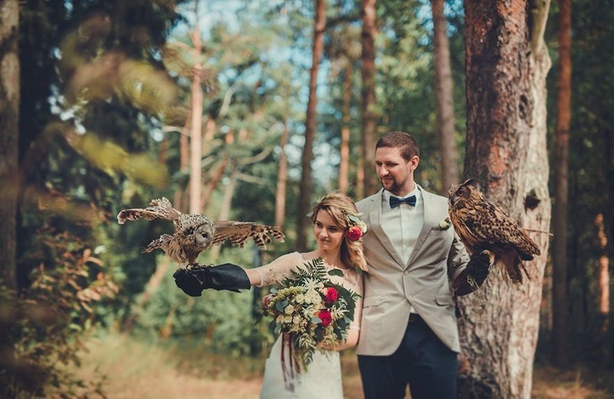 фотосессия с совой свадебная фото