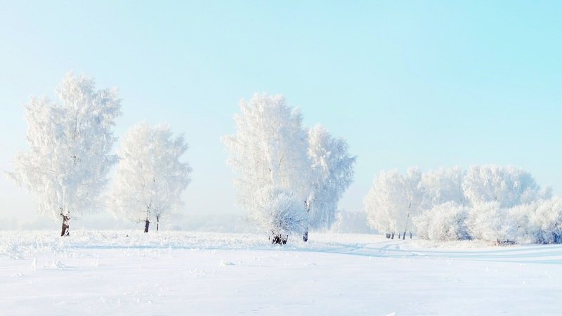 зима снег фото