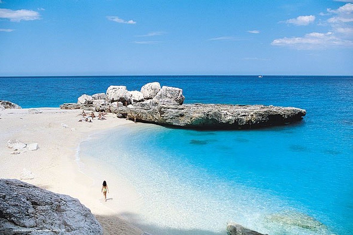 ����� �� ���� ���� ��������