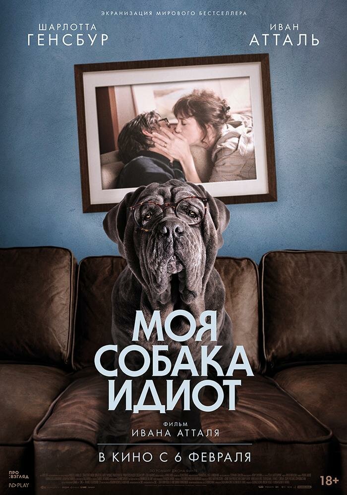 моя собака идиот фото