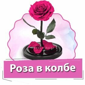 роза в колбе фото