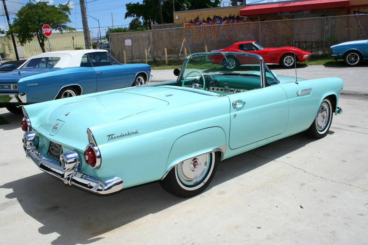 ford thunderbird 1955 фото