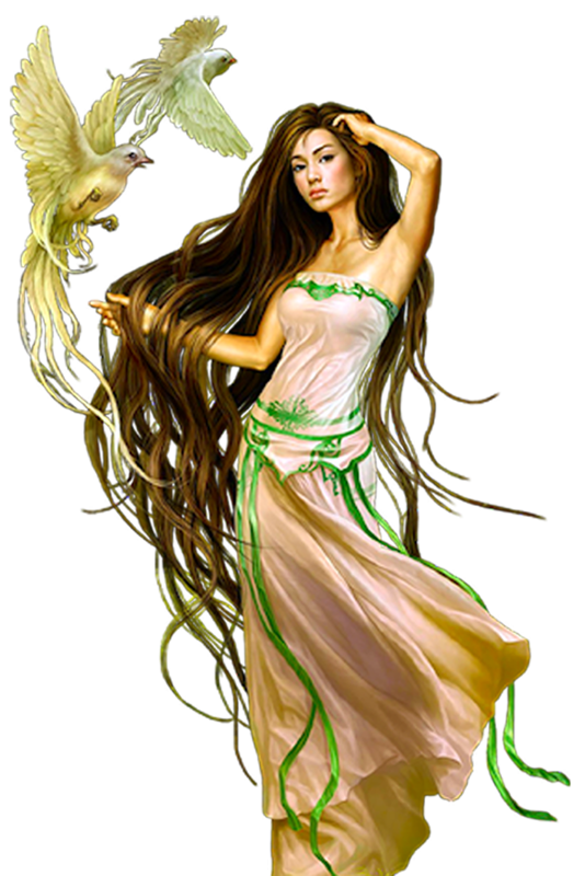 �������� ������ ��������, ���� �������� �������