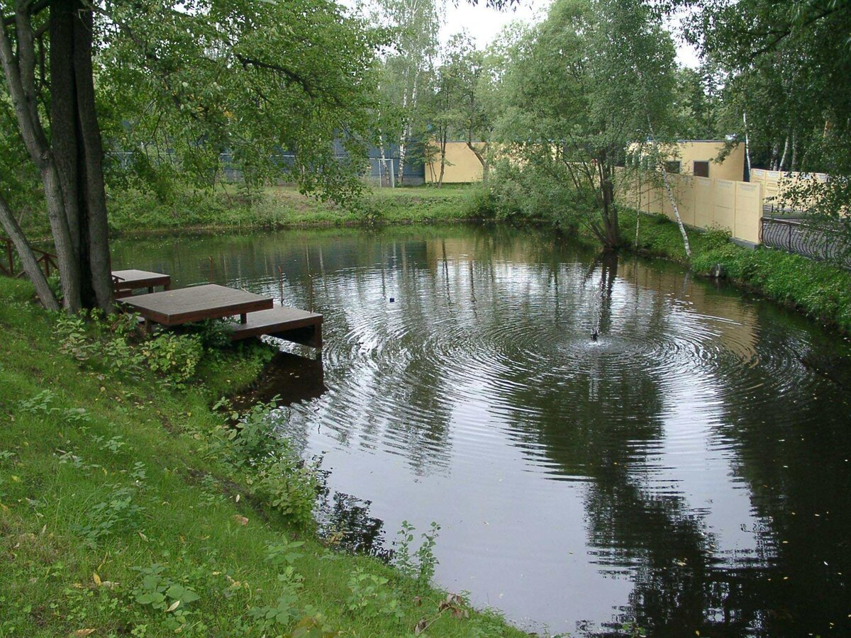 рыбоводство пруд копанка фото